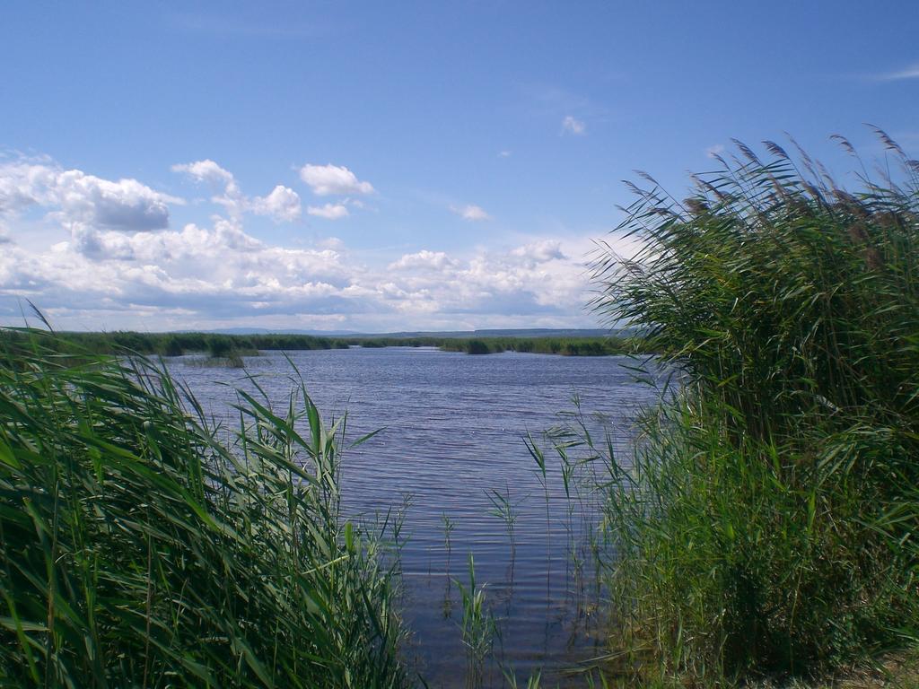 Ferienwohnungen Feldsee Illmitz Luaran gambar