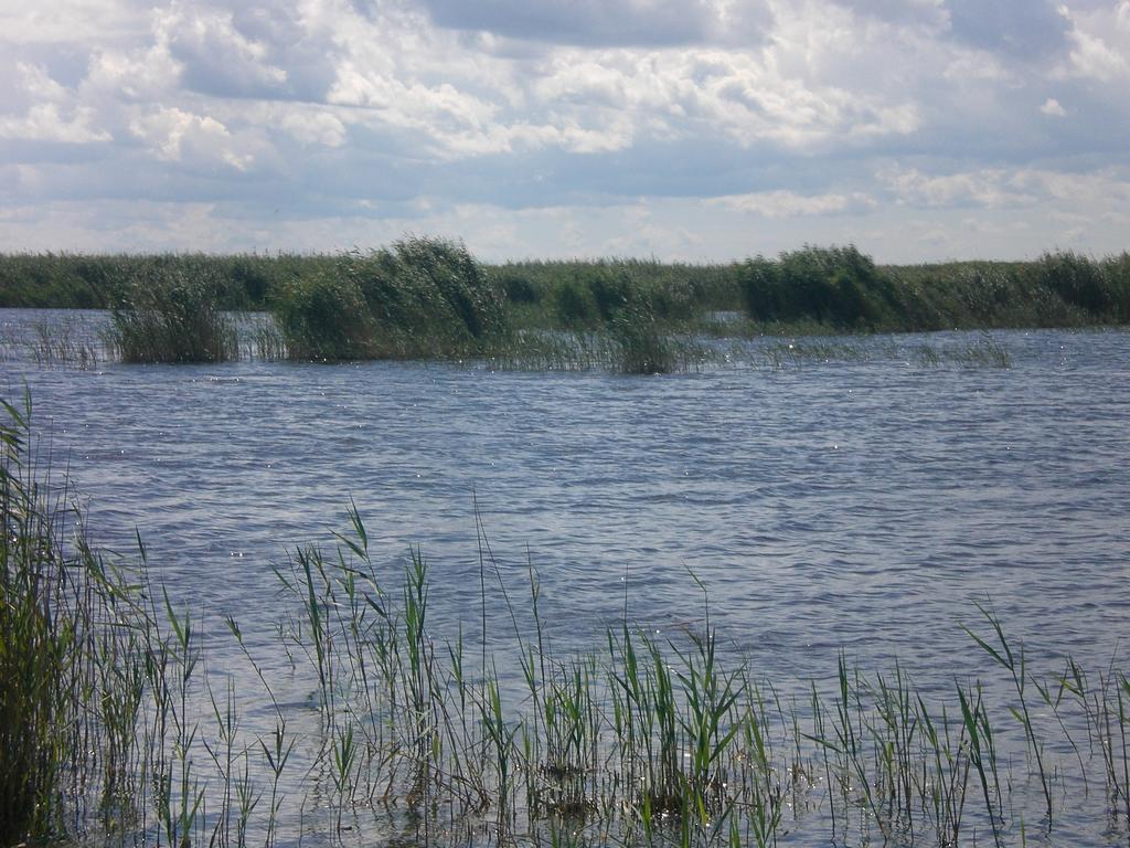 Ferienwohnungen Feldsee Illmitz Luaran gambar