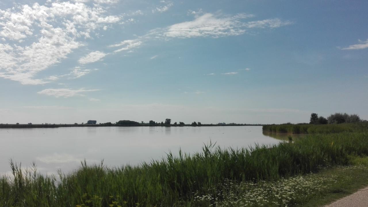 Ferienwohnungen Feldsee Illmitz Luaran gambar